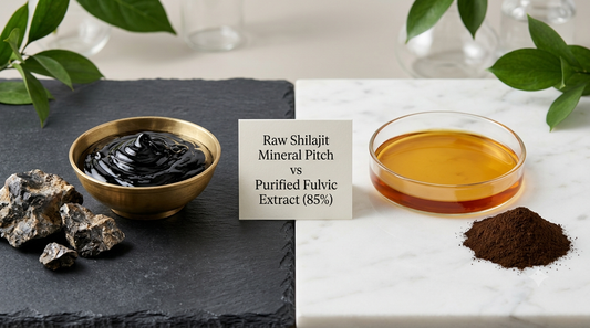 Fulvic Acid vs Shilajit: What's the Difference?